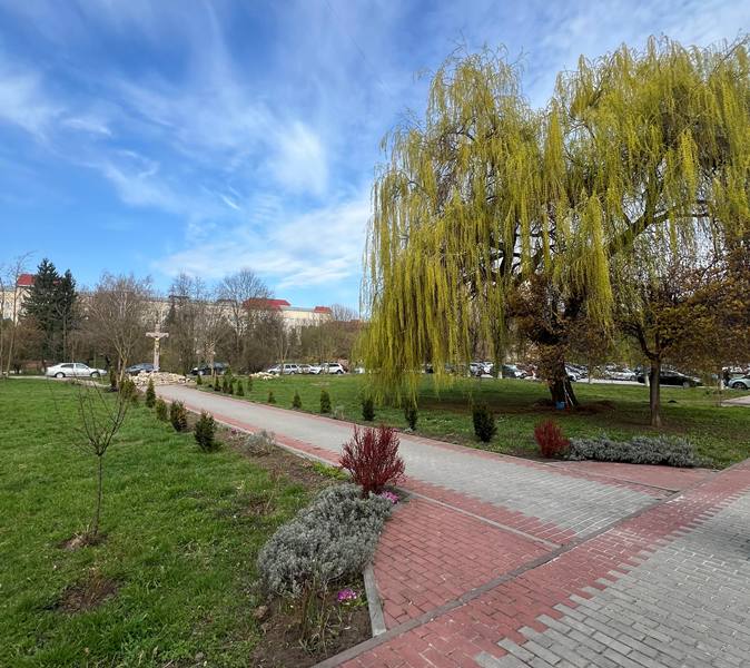 Панорама біблійного саду ТНПУ